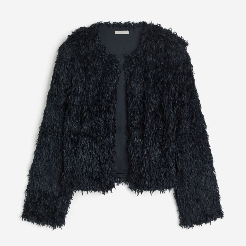 H&M Short Jacket - Picture 4 of 5